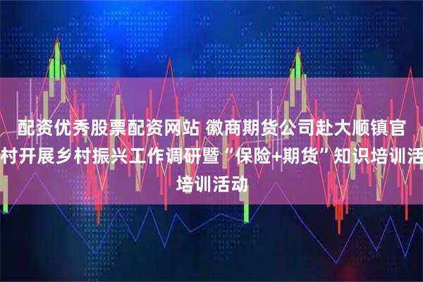 配资优秀股票配资网站 徽商期货公司赴大顺镇官塘村开展乡村振兴工作调研暨“保险+期货”知识培训活动