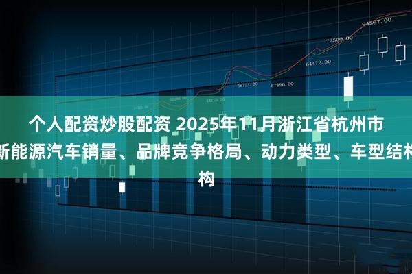 个人配资炒股配资 2025年11月浙江省杭州市新能源汽车销量、品牌竞争格局、动力类型、车型结构