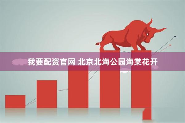 我要配资官网 北京北海公园海棠花开